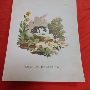 Wallflower Rabbit Art Print with Yellow and Green Accents